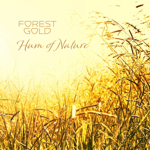 胸大美女被我爆操
