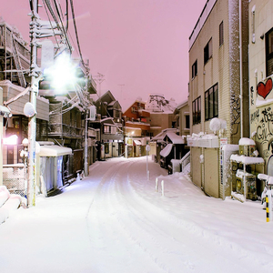 胸大美女被我爆操
